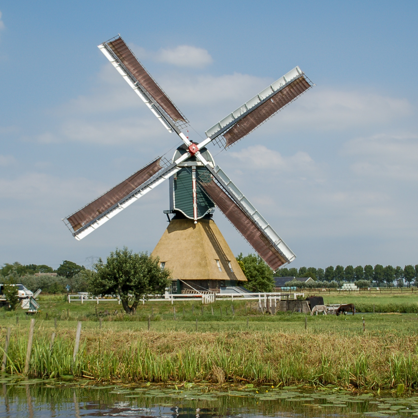 Wingerdse molen