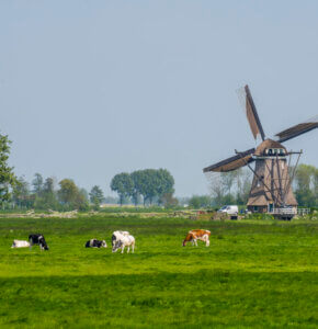 Achtkante Molen Streefkerk